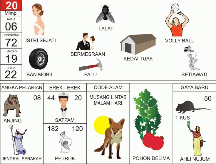 Erek Erek 20 2D Bergambar dan Buku Tapsir Mimpi Lengkap