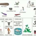 Erek Erek 22 2D Bergambar dan Buku Tapsir Mimpi Lengkap