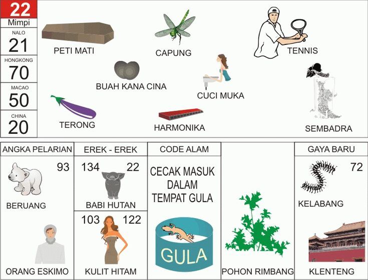 Erek Erek 22 2D Bergambar dan Buku Tapsir Mimpi Lengkap