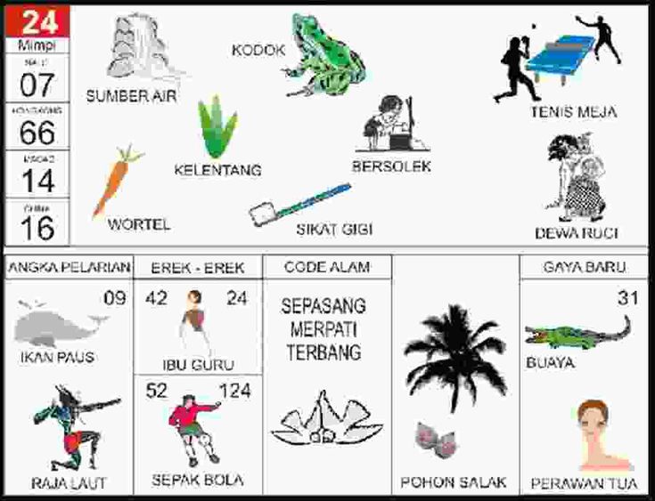 Erek Erek 24 2D Bergambar dan Buku Tapsir Mimpi Lengkap