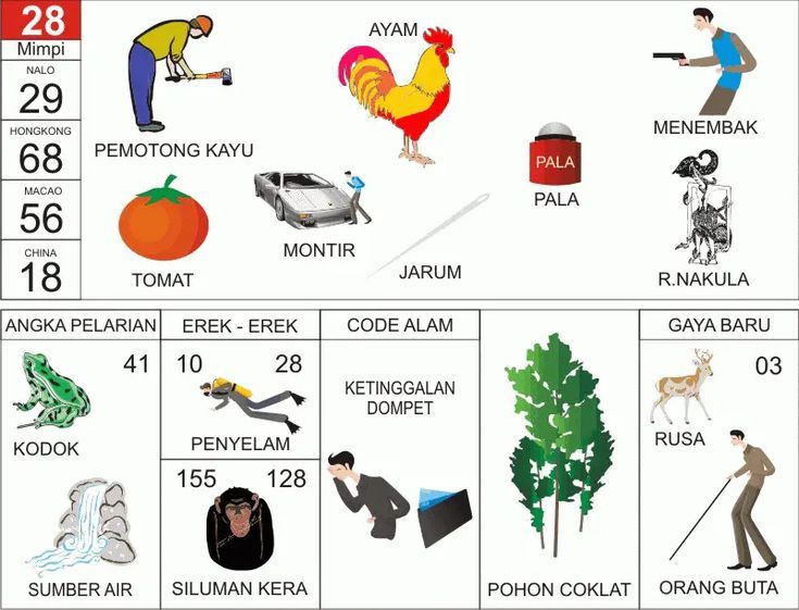 Erek Erek 28 2D Bergambar dan Buku Tapsir Mimpi Lengkap