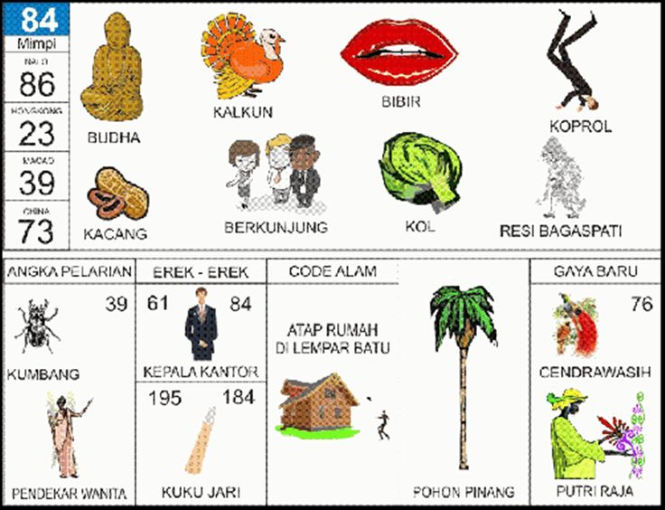 Erek Erek 84 2D Bergambar dan Buku Tapsir Mimpi Lengkap