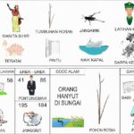 Erek Erek 85 2D Bergambar dan Buku Tapsir Mimpi Lengkap